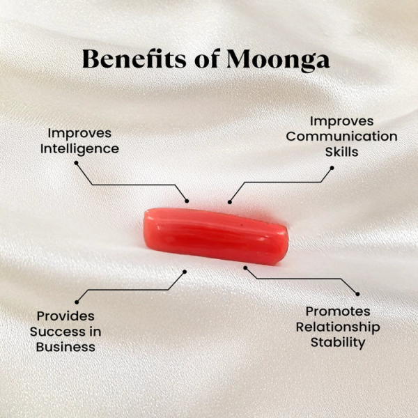 Moonga - Image 2